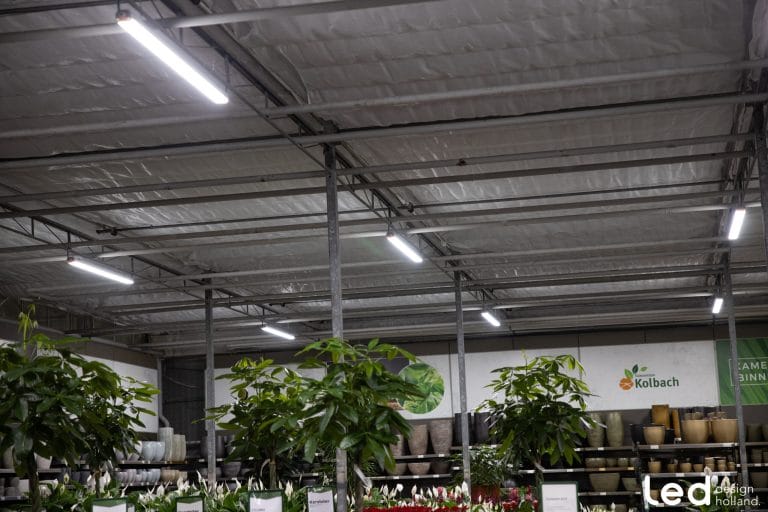 Tuincentrum Kolbach Rijswijk, foto 9