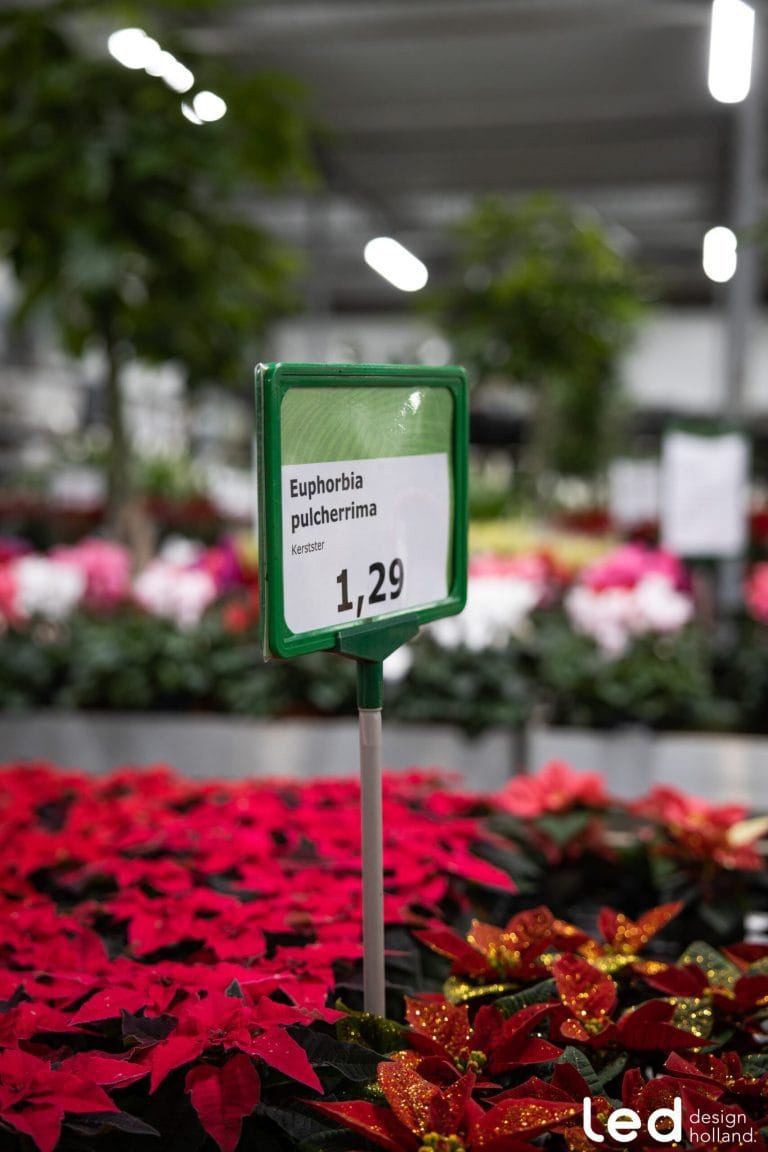 Tuincentrum Kolbach Rijswijk, foto 8